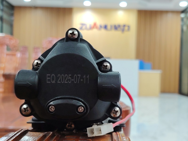 مضخات Zuanli Booster محملة: تحدي الإعصار!